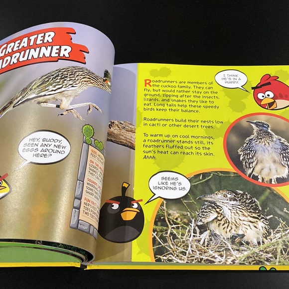 National Geographic Kids | Angry Birds Playground: Animals  - Hardcover Book - Picture 7 of 7